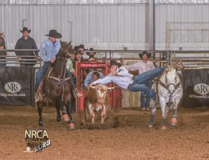 Steer Wrestling