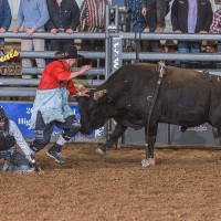 Standings – new – NRCA Rodeo